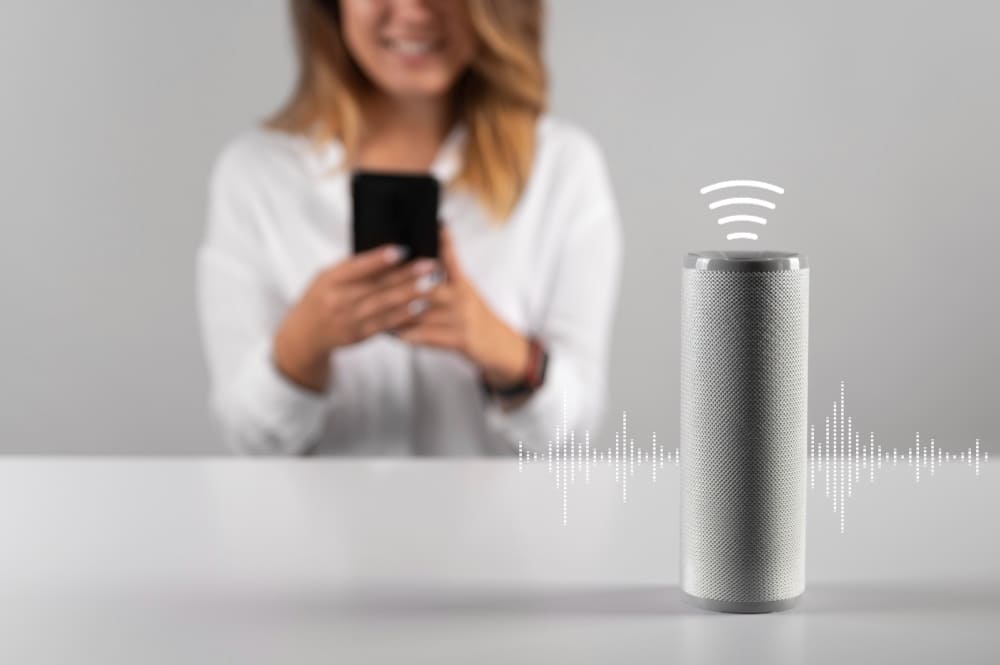 voice search for businesses
